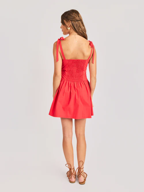 CANYON PINTUCK TIE MINI DRESS